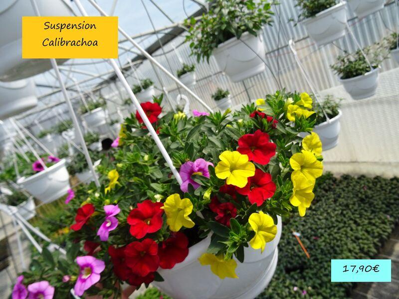 Horticulture Signoret - Horticulture Signoret