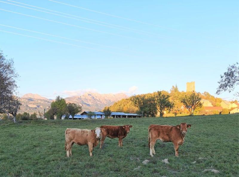 Ferme Ollivier - Ferme Ollivier
