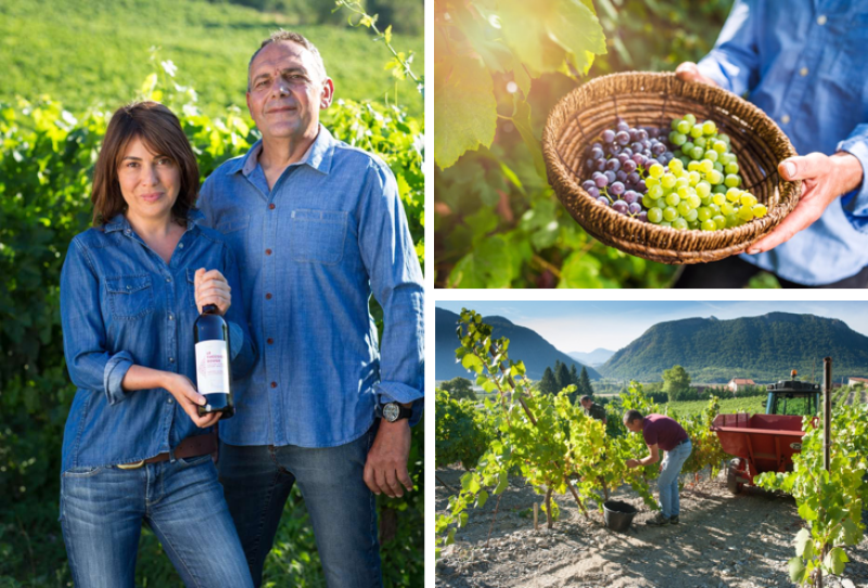Domaine Allemand - Domaine Allemand