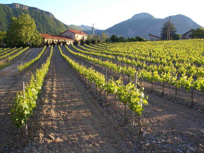 Domaine Allemand - Domaine Allemand