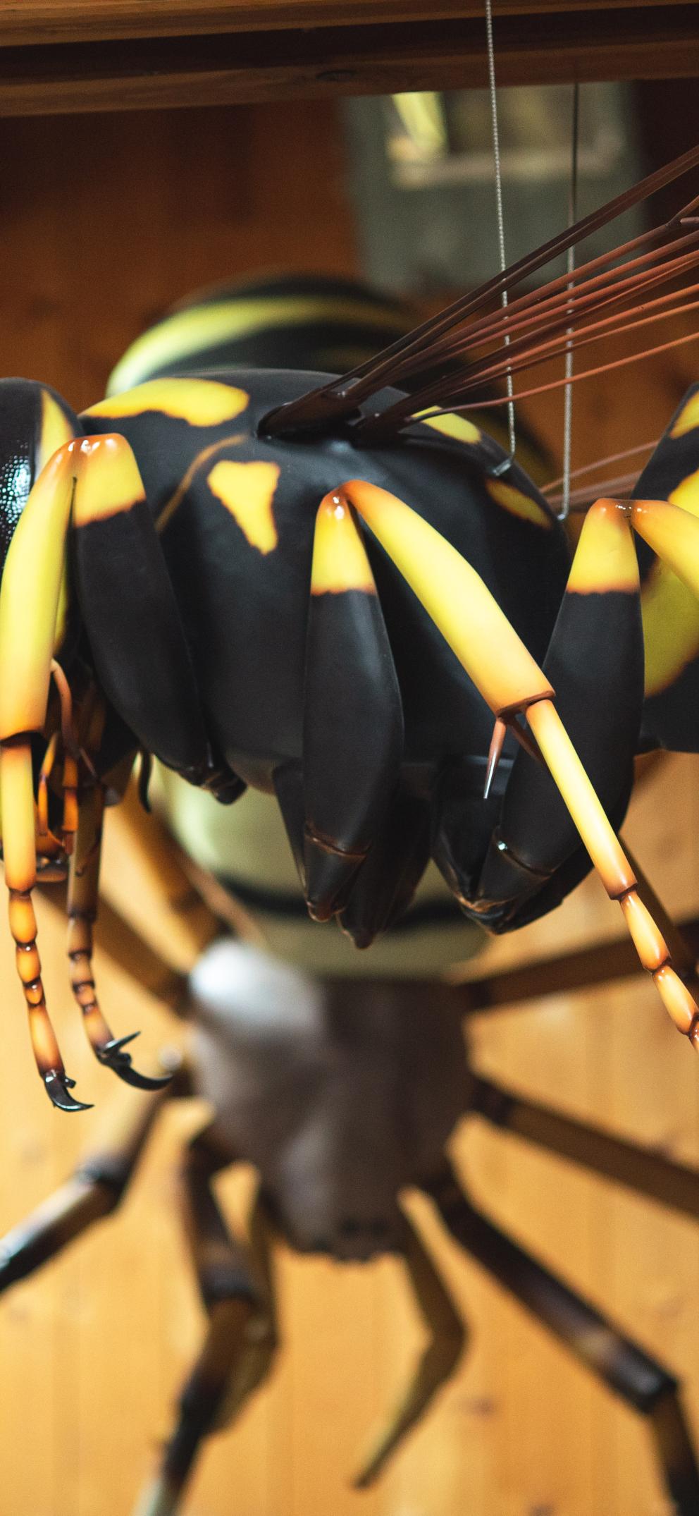 Apiland un agrimusée sur l'apiculture dans les Hautes Alpes.