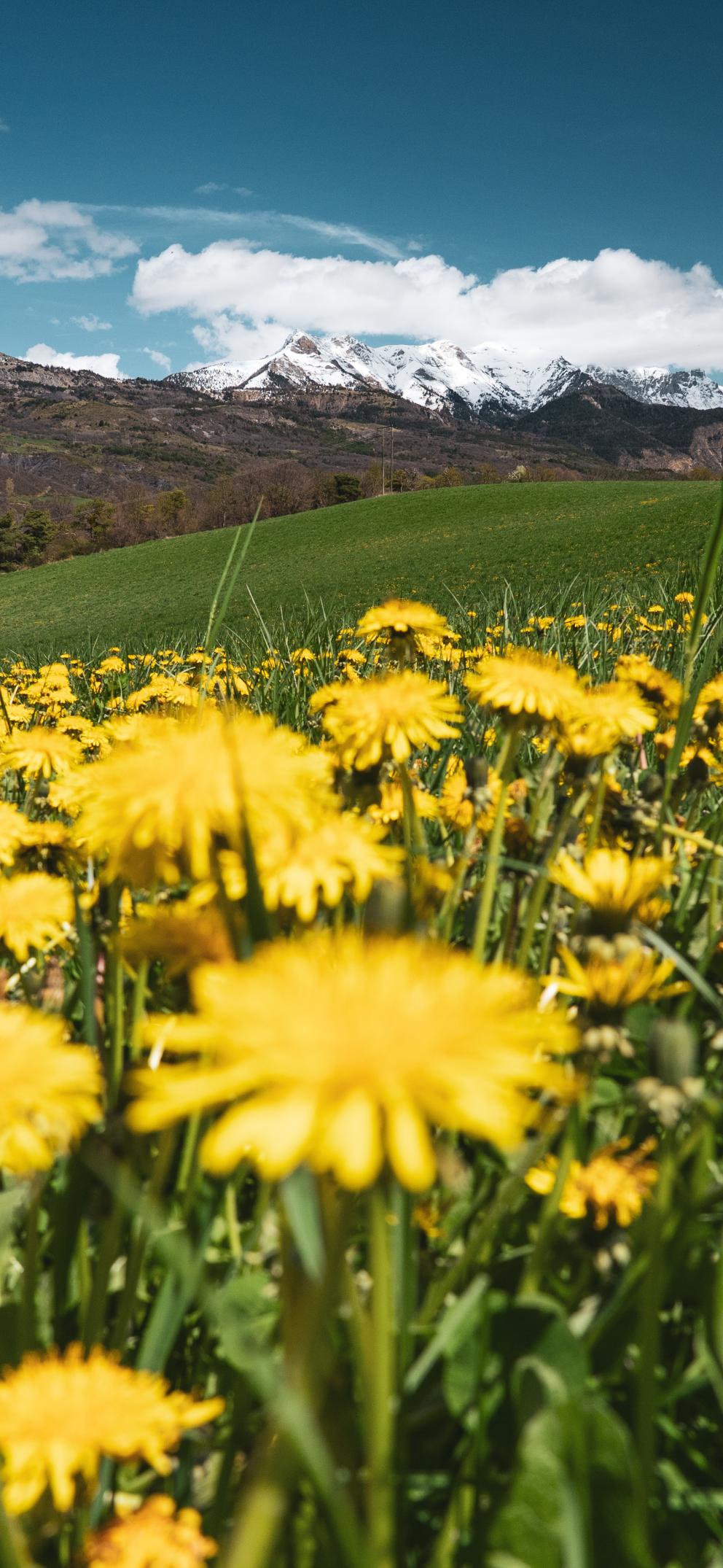 La campagne entourée des montagnes des Ecrins : Serre Ponçon Vallées
