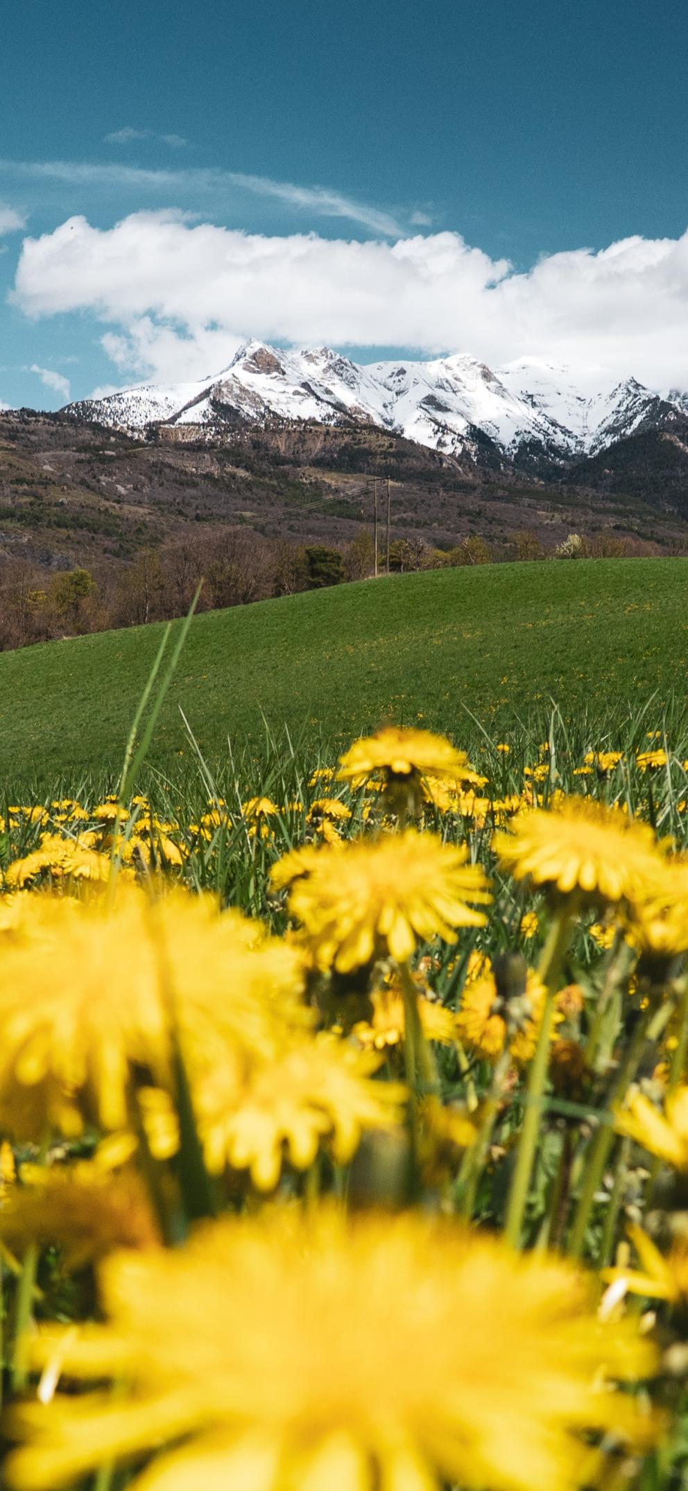 La campagne entourée des montagnes des Ecrins : Serre Ponçon Vallées