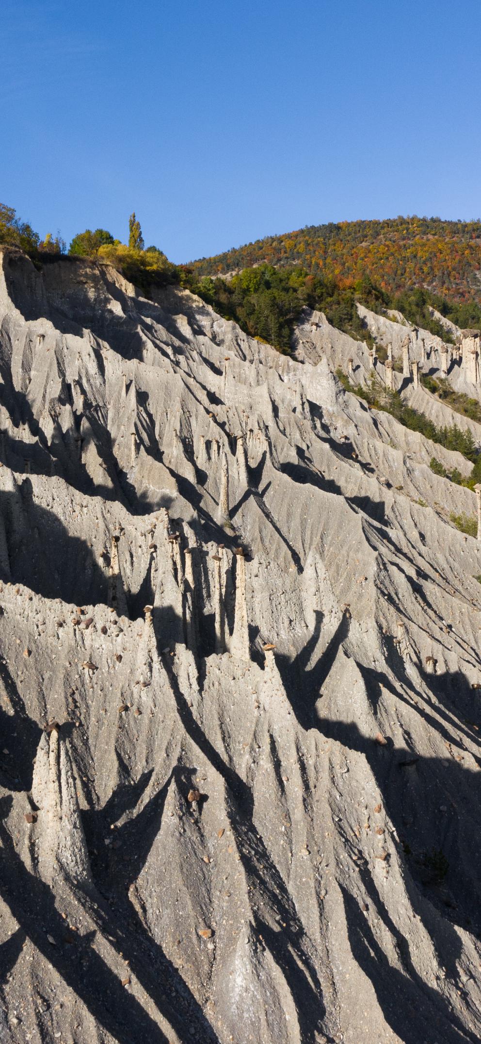 Les demoiselles coiffées de Théus 