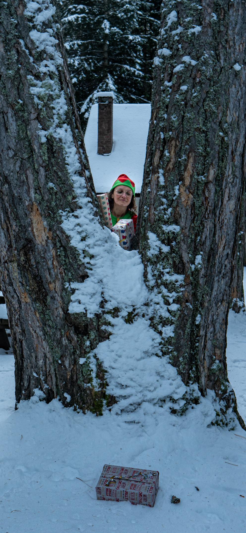 cadeaux de Noel des Hautes Alpes 