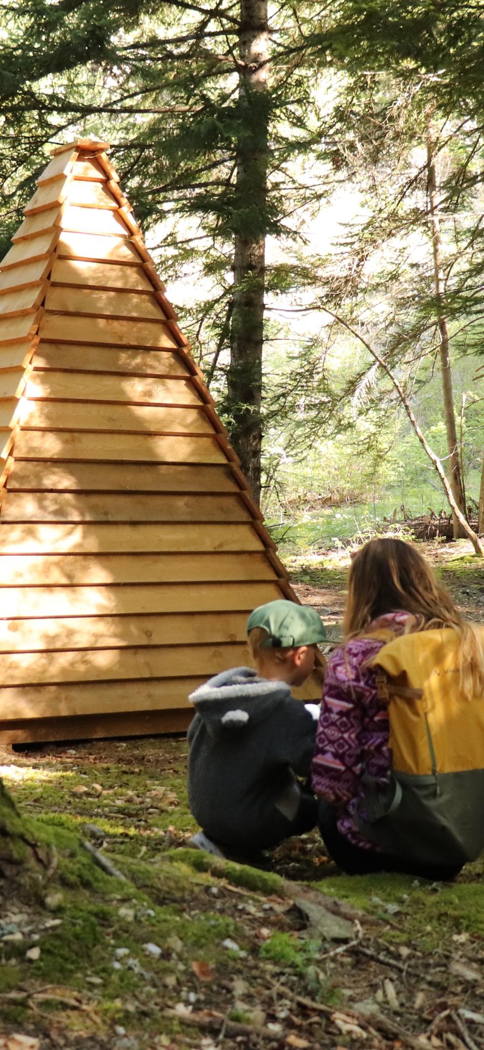 La forêt du Sapet, balade à énigmes à faire au printemps dans les Hautes Alpes 