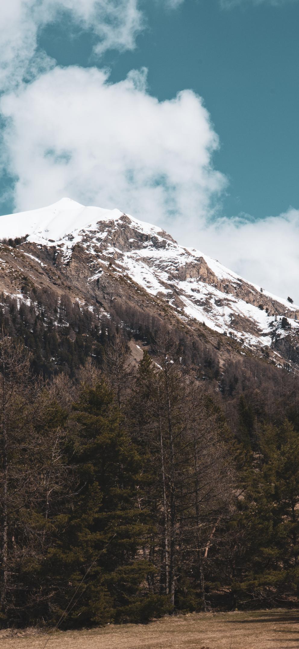 Le Piolit au printemps 