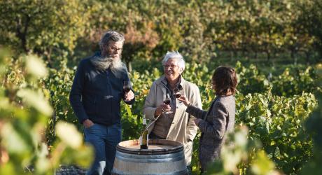 Vignobles