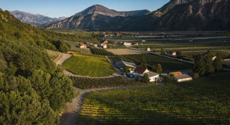 Vallée