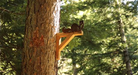 Une balade à énigmes proche de Gap. 