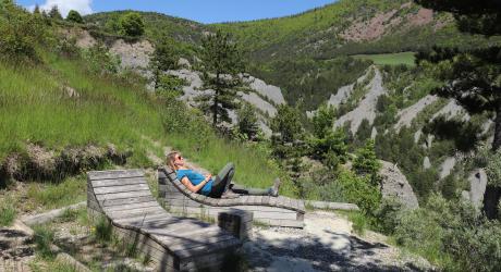 demoiselles coiffées