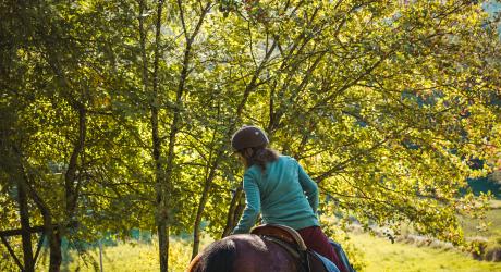 Tour de l'avance à cheval dans les vallées de Serre-Ponçon