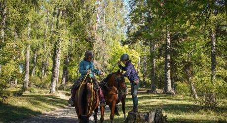 Tour de l'avance à cheval dans les vallées de Serre-Ponçon