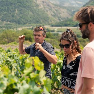 Domaine du Petit août vin bio des Hautes-Alpes cépage mollard 