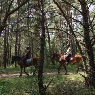 Randonnée à cheval vue sur les montagnes dans les vallées de l'Avance 