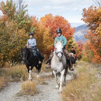 Tour de l'avance à cheval vue sur les montagnes dans les vallées de Serre Ponçon face aux montagnes des Ecrins