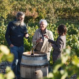 Vignobles