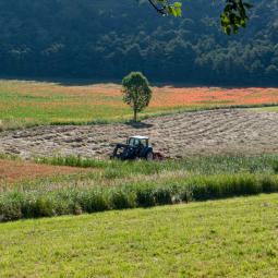 Moisson dans les champs de la campagne de l'Avance. 
