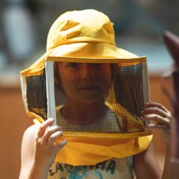 Apiland un agrimusée sur l'apiculture dans les Hautes Alpes. 