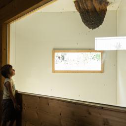 Apiland un agrimusée sur l'apiculture dans les Hautes Alpes. 