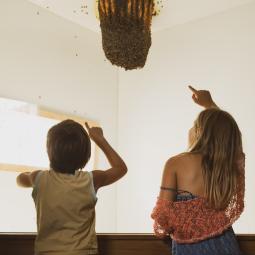 Apiland un agrimusée sur l'apiculture dans les Hautes Alpes. 