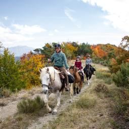 Tour de l'avance à cheval vue sur les montagnes dans les vallées de Serre Ponçon face aux montagnes des Ecrins