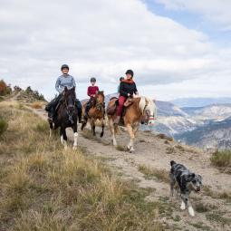Tour de l'avance à cheval vue sur les montagnes dans les vallées de Serre Ponçon face aux montagnes des Ecrins