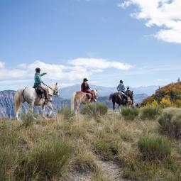 Tour de l'avance à cheval vue sur les montagnes dans les vallées de Serre Ponçon face aux montagnes des Ecrins