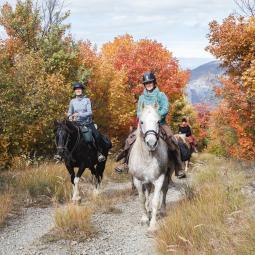 Tour de l'avance à cheval vue sur les montagnes dans les vallées de Serre Ponçon face aux montagnes des Ecrins