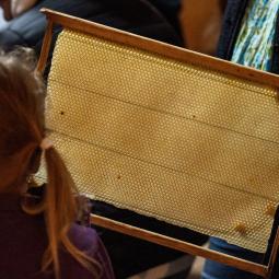 Apiland un agrimusée sur l'apiculture dans les Hautes Alpes. 