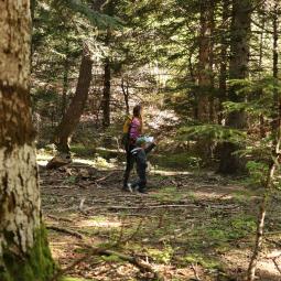 Balade énigme forêt du Sapet