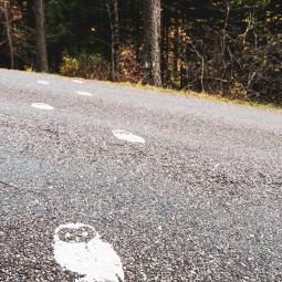 Balade à énigmes en forêt à l'automne dans les Hautes Alpes 