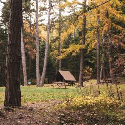 Balade à énigmes en forêt à l'automne dans les Hautes Alpes 