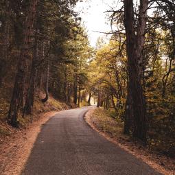 Balade à énigmes en forêt à l'automne dans les Hautes Alpes 