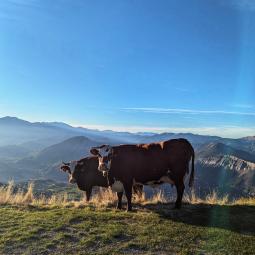 microaventure gravel quentin clavel dans les vallées de Serre Ponçon
