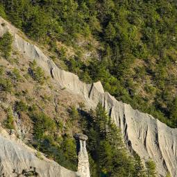 demoiselles coiffées de Théus 