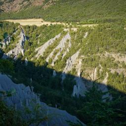 demoiselles coiffées de Théus 