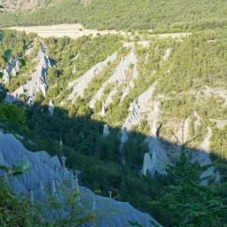contes aux demoiselles coiffées