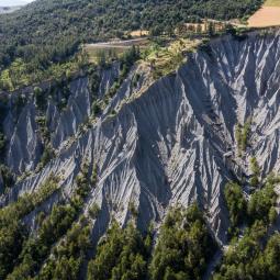 demoiselles coiffées de Théus 