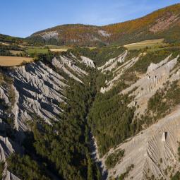 demoiselles coiffées de Théus 