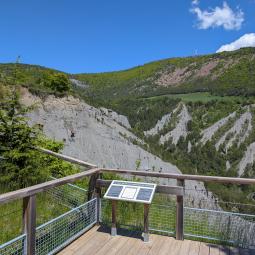 demoiselles coiffées Théus