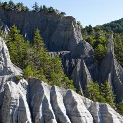 Randonnée du torrent de trente pas et des demoiselles coiffées. 