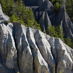Randonnée du torrent de trente pas et des demoiselles coiffées. 