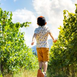 Vignobles des Hautes Alpes, le pique nique vigneron du domaine allemand