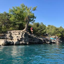 Chêne suspendu bois vieux 