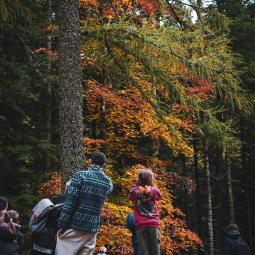 Escape game forêt du Sapet La bâtie Neuve 