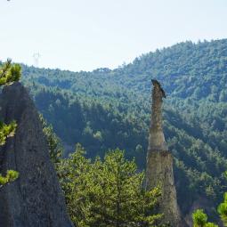 Randonnée guidée risque naturels autour du torrent de Trente pas à Rousset Serre Ponçon. 