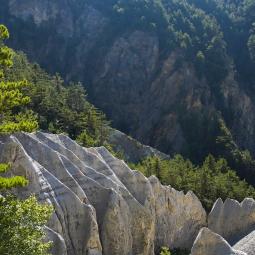 Randonnée guidée risque naturels autour du torrent de Trente pas à Rousset Serre Ponçon. 