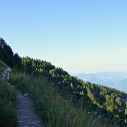 La randonnée du Piolit Hautes Alpes 