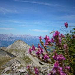 La randonnée du Piolit Hautes Alpes 